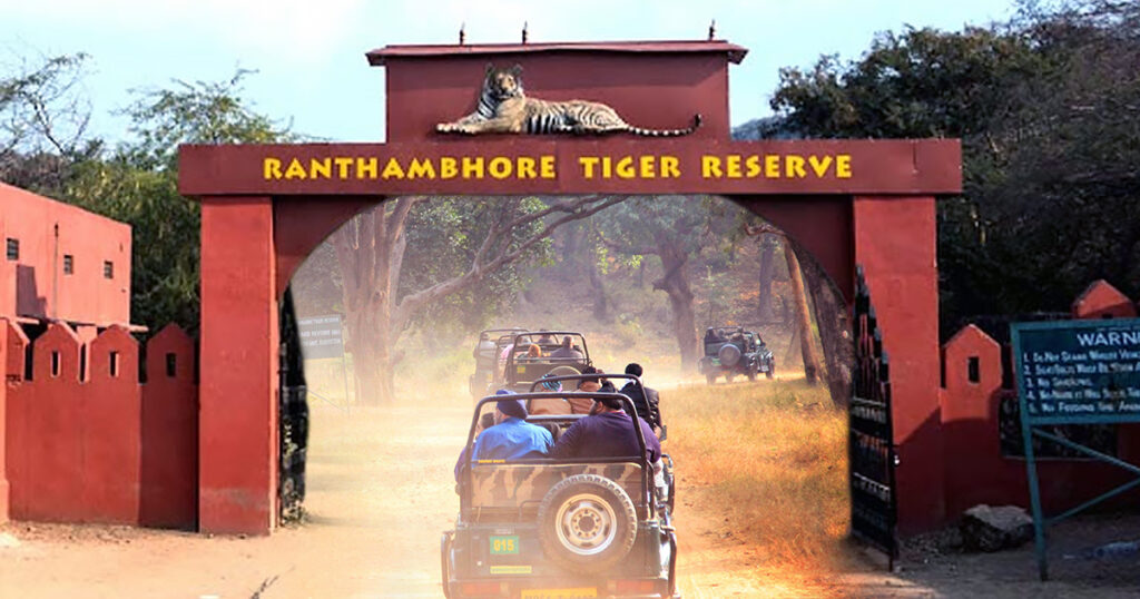 Ranthambore tiger safari