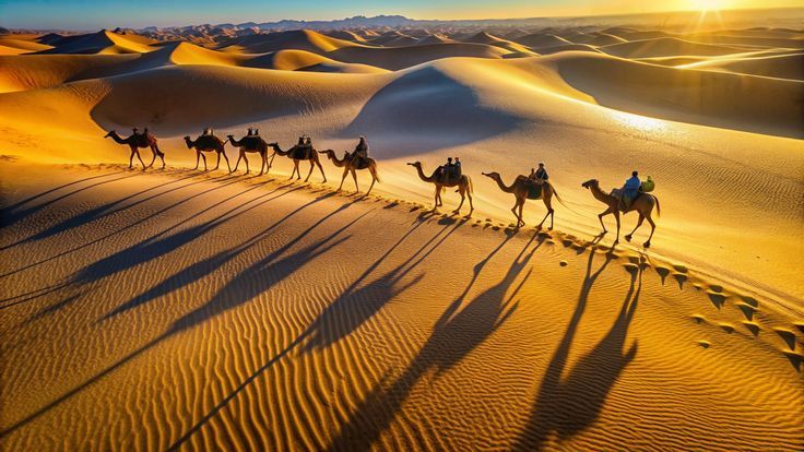 Rajasthan Travel