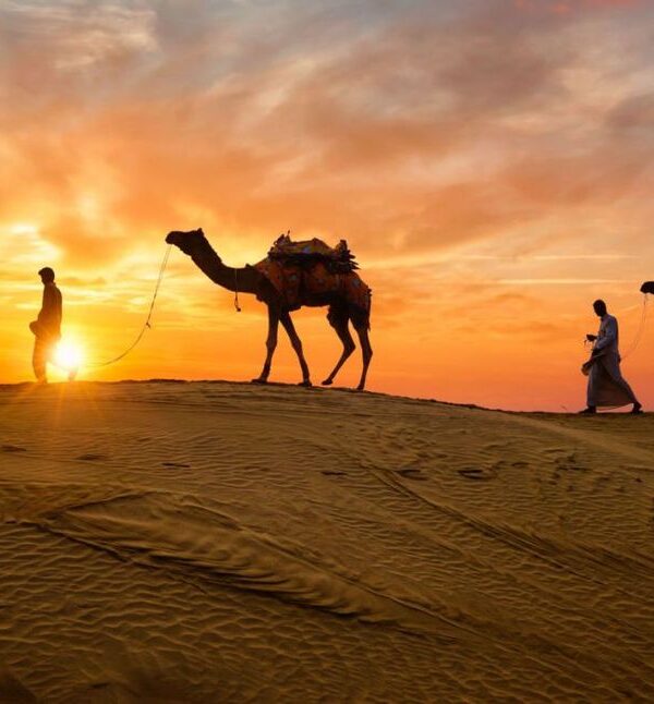 India Tour